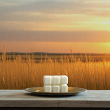 Load image into Gallery viewer, Lunahrin Wax Melts