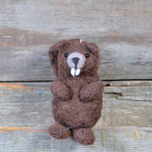 Load image into Gallery viewer, Needle Felting Kits
