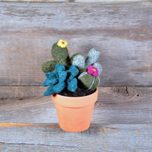 Load image into Gallery viewer, Needle Felting Kits