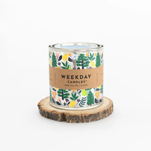 Load image into Gallery viewer, Paint Tin Candles