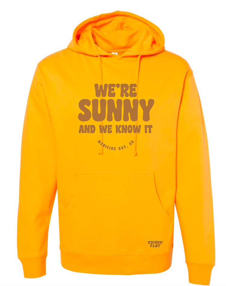 We’re Sunny and We Know Hoodie