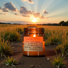 Load image into Gallery viewer, Lunahrin Candles
