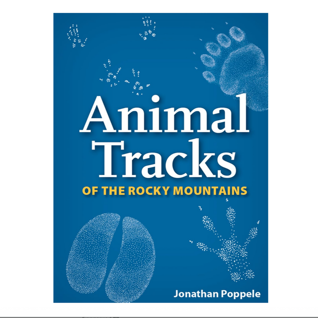 deck of playing cards with animal tracks of the rocky mountains