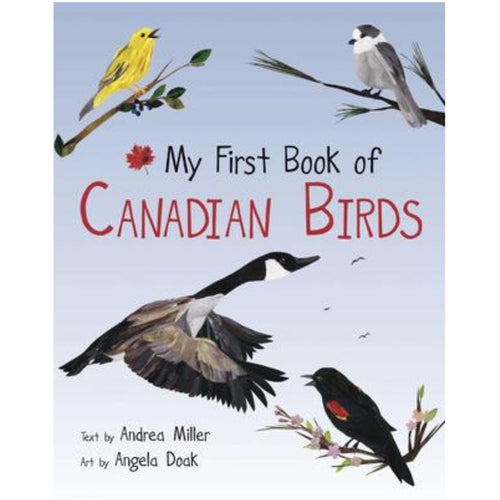Book cover of 'My First Book of Canadian Birds' with illustrations of birds on a blue background.
