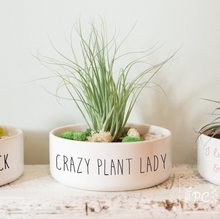 Load image into Gallery viewer, planter that says crazy plant lady
